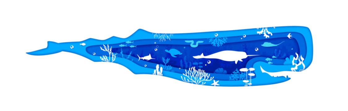 Paper cut whale silhouette with sea underwater landscape and fishes, vector banner. Ocean undersea or sea underwater with coral reef manta stingray, narwhal or eel and swordfish in paper cut seaweeds