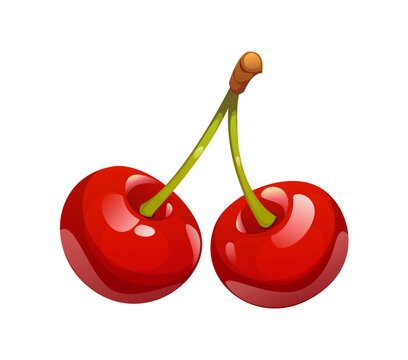 Cartoon ripe cherry berry, isolated vector raw cherries pair attached to stem, glisten, showcasing their deep red glossy skin. Fresh natural summer dessert with sweet flavor and natural freshness