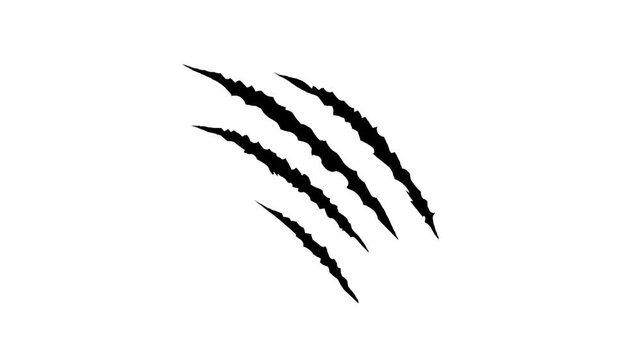 Animal claw scratches, cat and tiger claw shapes isolated on transparent background.