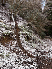 雪のある獣道