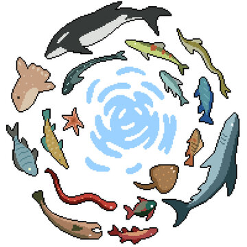 pixel art isolated background of fish circle underwater life