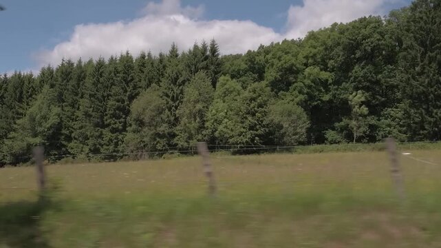  The Ardennes Forest in Belgium Europe - Site of Battle of the Bulge