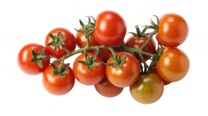 Fresh Cherry Tomatoes on Vine green stem isolated on a transparent background