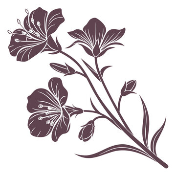 Clarkia Blooms in Dark Brown Linework