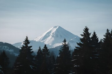 Natural Background with Organic Texture and Soft Light