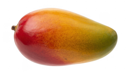 Fresh mango fruit with red and yellow skin isolated on a transparent background
