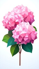 Two pink, polygonal hydrangea flowers on a stem with leaves against a gradient white background
