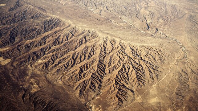 An Aerial Photograph Depicting Severe Soil Desertification in Northwestern China: A Visual Analysis of Arid Landscape Patterns, Vegetation Degradation, and Environmental Vulnerability in Dryland Ecosy