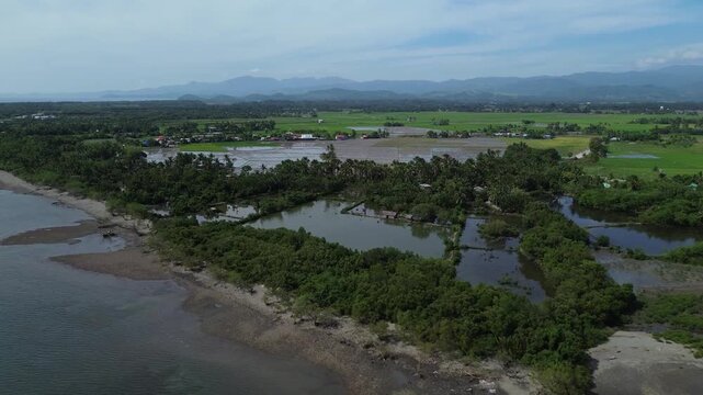 Aerial drone footage of a quiet beach in Roxas Oriental Mindoro showing sandy shoreline, palm trees, wide green rice fields and distant mountains under tropical blue skies on a sunny day in paradise.