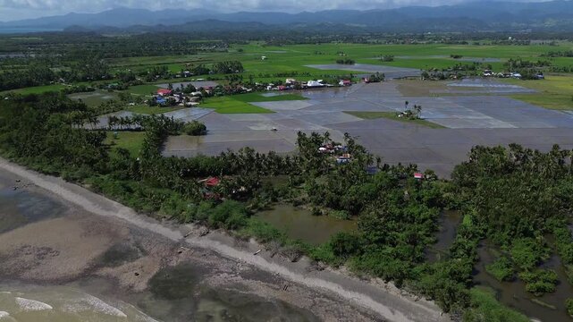 Aerial drone footage of a quiet beach in Roxas Oriental Mindoro showing sandy shoreline, palm trees, wide green rice fields and distant mountains under tropical blue skies on a sunny day in paradise.