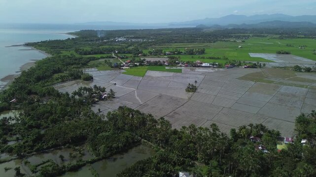 Aerial drone footage of a quiet beach in Roxas Oriental Mindoro showing sandy shoreline, palm trees, wide green rice fields and distant mountains under tropical blue skies on a sunny day in paradise.