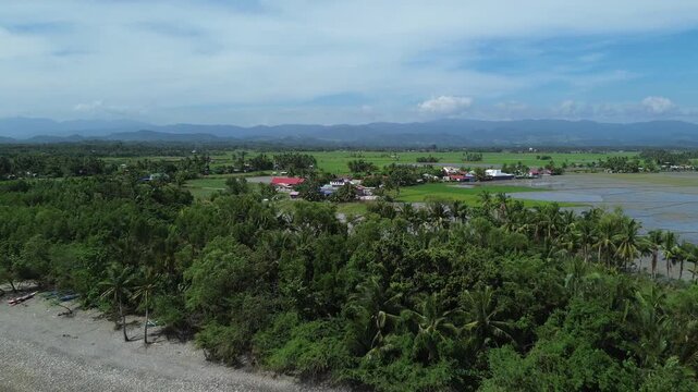 Aerial drone footage of a quiet beach in Roxas Oriental Mindoro showing sandy shoreline, palm trees, wide green rice fields and distant mountains under tropical blue skies on a sunny day in paradise.