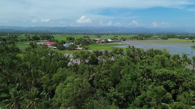 Scenic aerial drone footage of Roxas in Oriental Mindoro, Philippines showing sandy beaches, green rice fields and mountains in the background, perfect tropical landscape view.