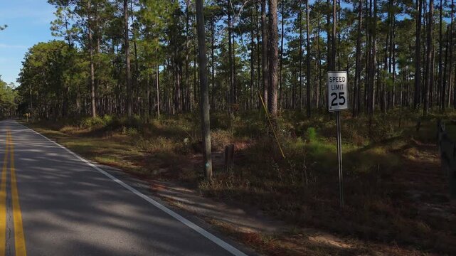 Two lane road cuts and Speed Limit 25 mph next to State Park entrance sign, forest corridor lined with tall pines and long shadows
