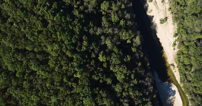 Above Dense Thicket Of Devils Backbone Wilderness In The Mark Twain National Forest In Missouri, USA. Aerial Shot
