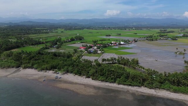 Scenic aerial drone footage of Roxas in Oriental Mindoro, Philippines showing sandy beaches, green rice fields and mountains in the background, perfect tropical landscape view.