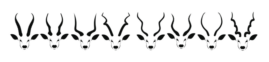 kudu horn vector stock © haya