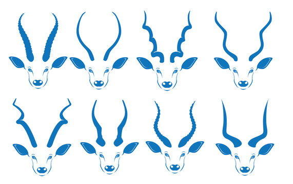 Kudu Horn Vector stok