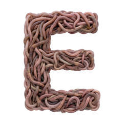 earthworm letter E - large 3d earthworm font isolated on white background. This alphabet is perfect for creative illustrations related to gardening, compost, horror concept. Generative AI
