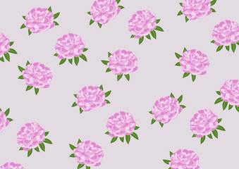 Pfingstrosen in rosa und pink T&ouml;nen auf pastellrosa Hintergrund als png Datei