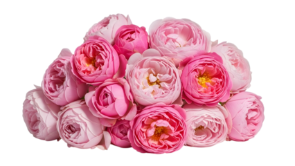 A bouquet of pink roses isolated on transparent background