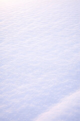 A vast expanse of untouched snow blankets the landscape, its pristine surface shimmering under the soft, diffused light of the winter sun.