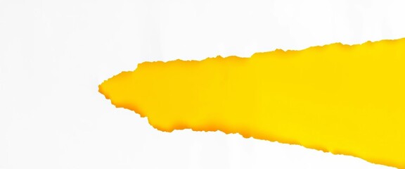 Jagged edges of torn white paper, revealing fibrous texture,   shredded,  rough