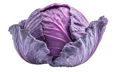 Fototapeta premium Fresh cabbage displayed whole highlighting compact leafy layers and farm fresh appearance isolated on transparent background PNG