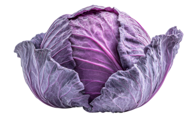 Fresh cabbage displayed whole highlighting compact leafy layers and farm fresh appearance isolated on transparent background PNG