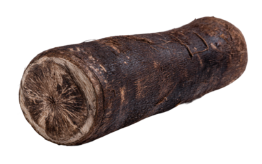 Whole tropical cassava root showcasing rugged surface and healthy vegetable attributes isolated on transparent background PNG