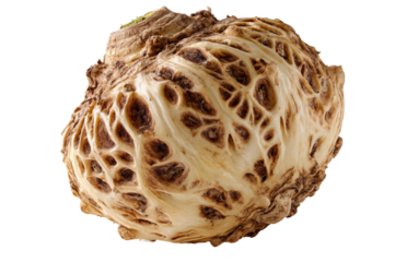 Freshly harvested celeriac highlighting natural earthy appearance and wholesome vegetable quality isolated on transparent background PNG