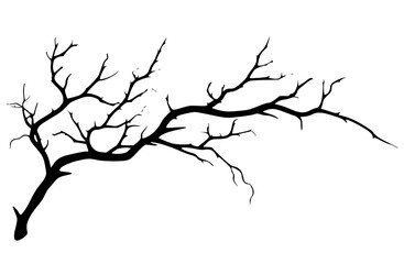 Tree Branch Silhouette Vector Illustration Isolated on White
