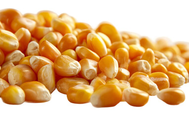 Fresh loose corn kernels displayed in natural form ideal for healthy meals recipes and ingredient concepts isolated on transparent background PNG