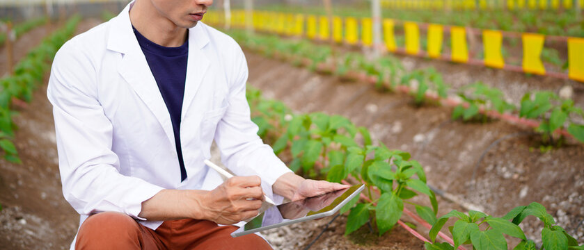 Agricultural developer handsome man trying different apps on tablet computer for advanced chemical inspection of greenhouse farm. Organic plantation. Greenery. - Powered by Adobe