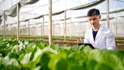 Agricultural developer handsome man trying different apps on tablet computer for advanced chemical inspection of greenhouse farm. Organic plantation. Greenery.