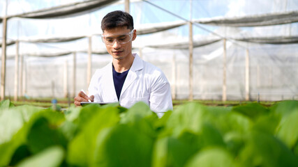 Agricultural developer handsome man trying different apps on tablet computer for advanced chemical inspection of greenhouse farm. Organic plantation. Greenery.