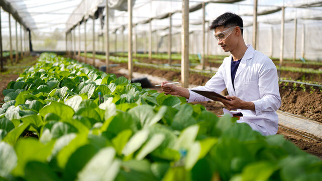 Agricultural developer handsome man trying different apps on tablet computer for advanced chemical inspection of greenhouse farm. Organic plantation. Greenery. - Powered by Adobe