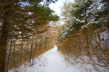 A snow-covered road in the mountains