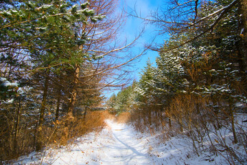 A snow-covered road in the mountains