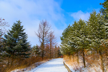 A snow-covered road in the mountains