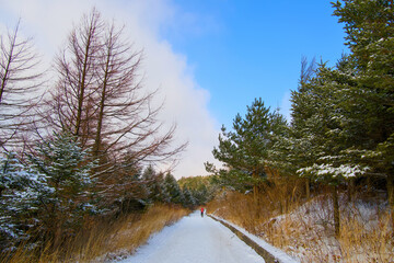 A snow-covered mountain path and a hiker