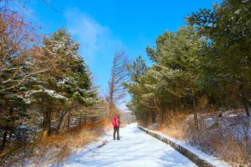 A snow-covered mountain path and a hiker