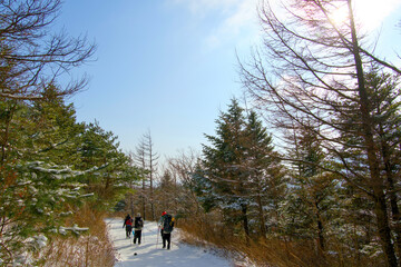 A snow-covered mountain path and hikers