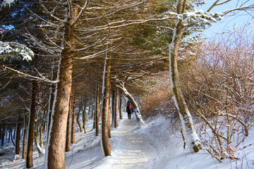 A snow-covered mountain path and a hiker