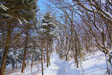 A snow-covered road in the mountains