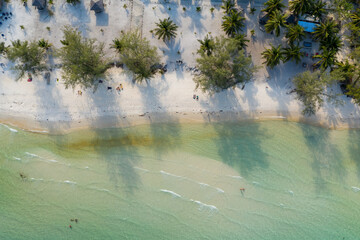 Aerial perspective captures clear turquoise water meeting a stretch of white sandy beach lined with palm trees and scattered sunbathers at Coconut Beach, Koh Rong, Cambodia. Long tree shadows and