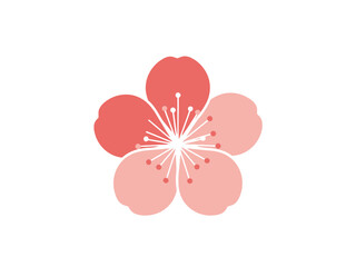 Traditional Plum Blossom Vector Illustration with Stamen Details 