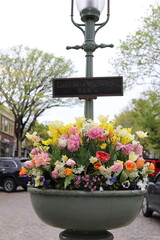 Nantucket Island Downtown Flowers
