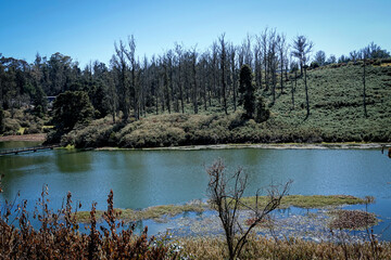 Beautiful scenery of Ooty, India