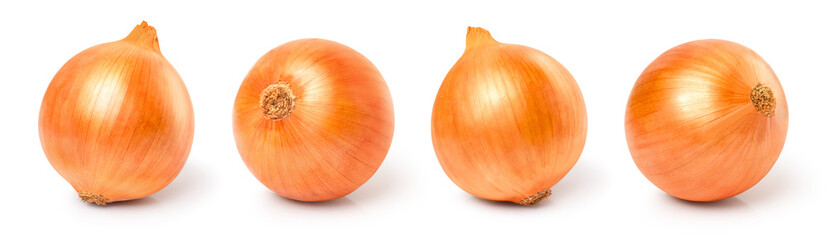 onion on white background.